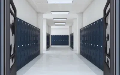 Disinfestazioni aziende Modena