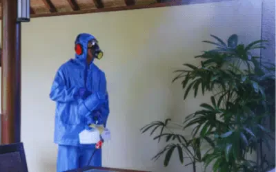 Sanificazione Taranto