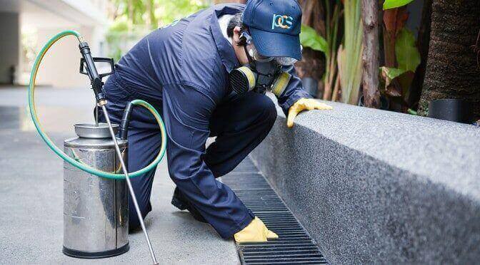 pest-control-672x372